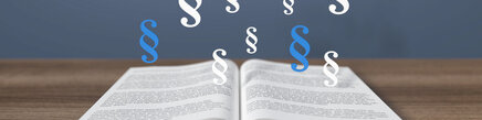 3D Buch mit Paragraphe